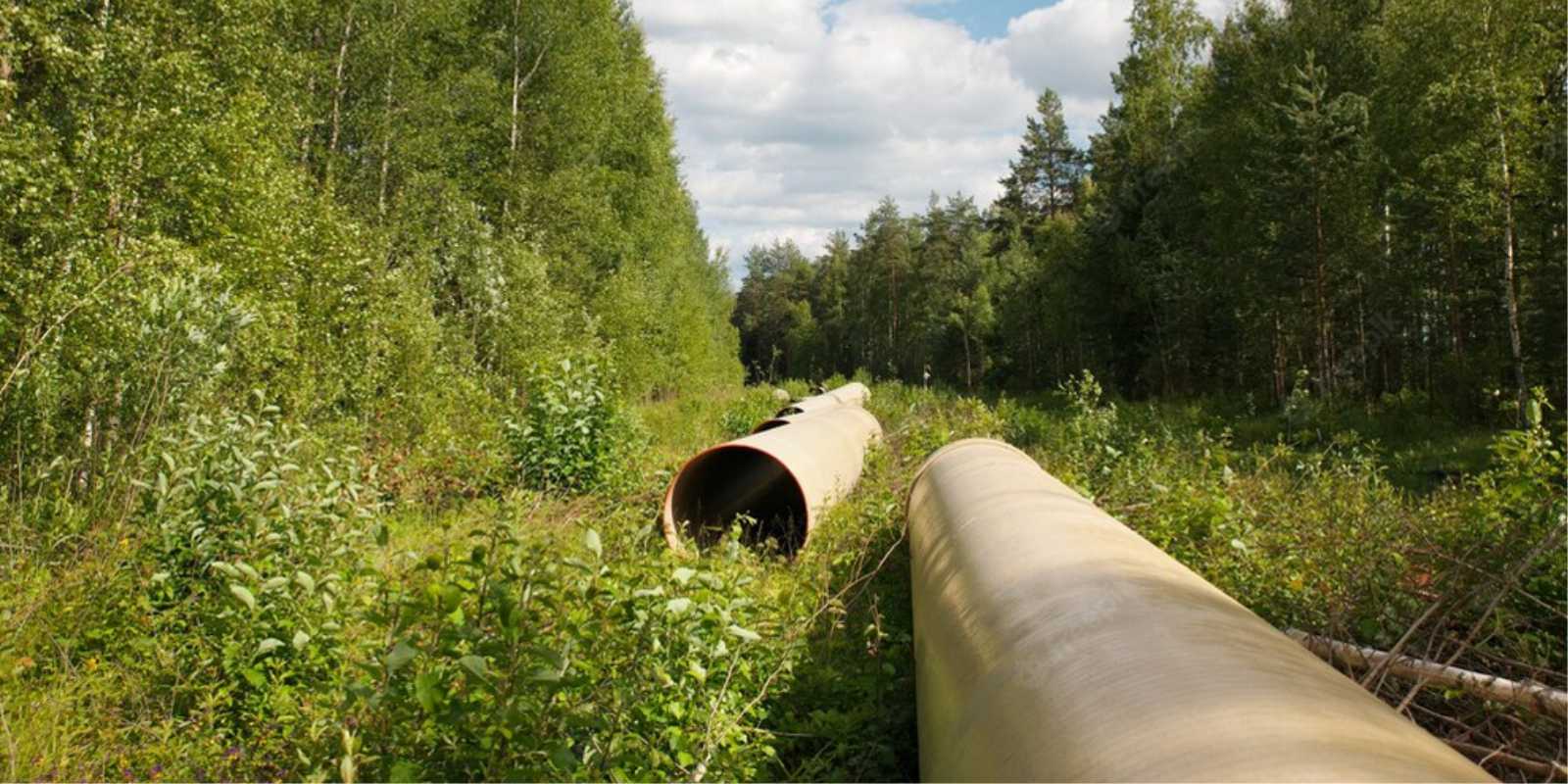 Sunrise Inwestycje Poznań wykonawcy kanalizacji 2